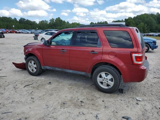 2012 Ford Escape XLT