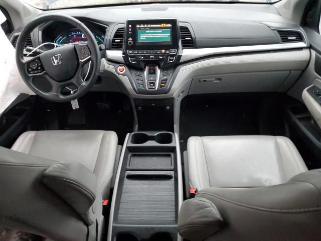 2019 Honda Odyssey EXL