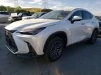 2024 Lexus NX 350H Base