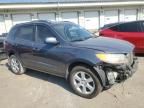 2007 Hyundai Santa FE SE