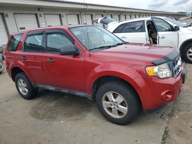 2011 Ford Escape XLS