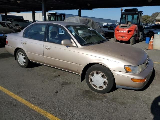 1996 Toyota Corolla DX