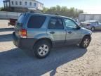 2007 Ford Escape XLT