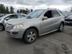 2006 Mercedes-Benz ML 500