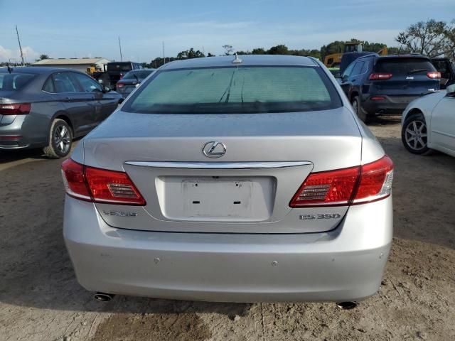 2010 Lexus ES 350