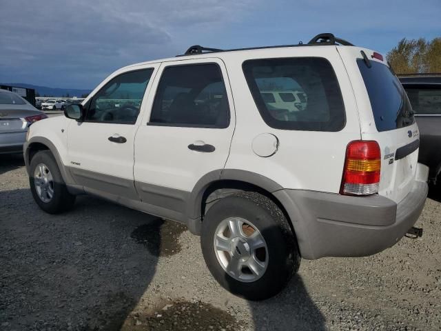 2001 Ford Escape XLT