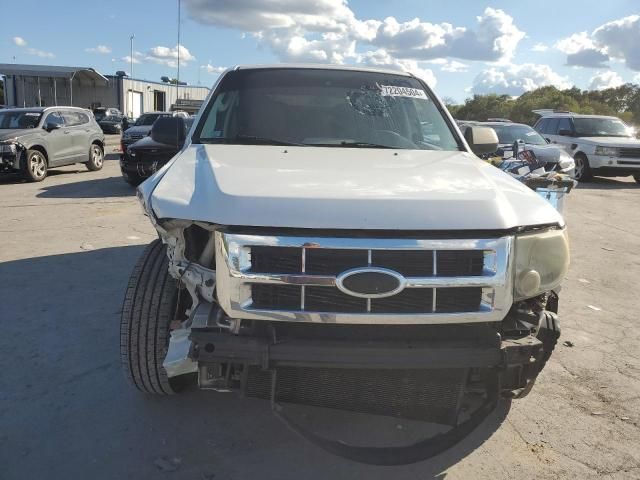 2010 Ford Escape XLS