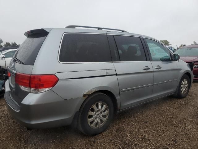 2008 Honda Odyssey EXL