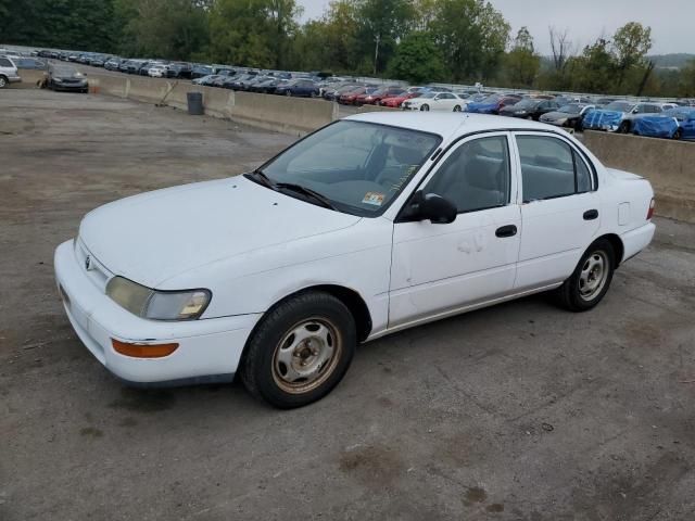 1996 Toyota Corolla