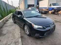 Salvage cars for sale at Bowmanville, ON auction: 2011 Scion TC