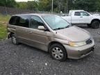 2004 Honda Odyssey EX