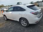 2010 Lexus RX 450H