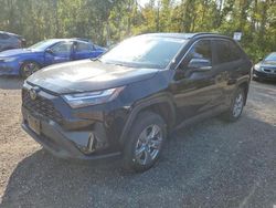 2024 Toyota Rav4 XLE en venta en Cookstown, ON