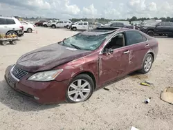 Salvage cars for sale at Houston, TX auction: 2008 Lexus ES 350