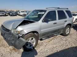 Ford salvage cars for sale: 2005 Ford Escape XLT