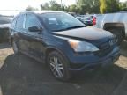 2007 Honda CR-V LX