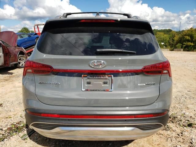 2023 Hyundai Santa FE SEL Premium