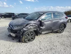 Salvage cars for sale at Taylor, TX auction: 2022 Honda CR-V EXL