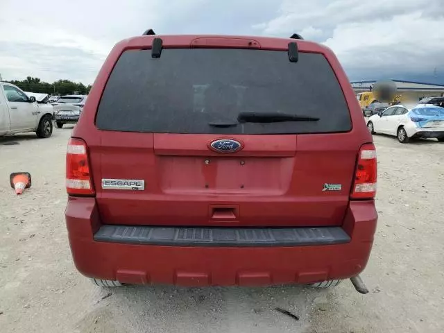 2011 Ford Escape XLT