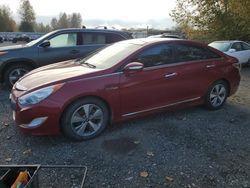 Salvage cars for sale at Arlington, WA auction: 2012 Hyundai Sonata Hybrid