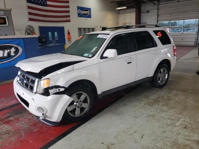 2009 Ford Escape Limited