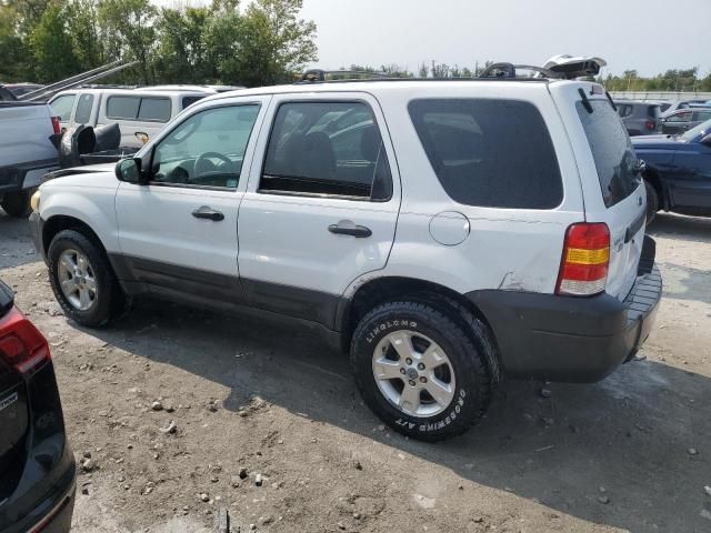 2007 Ford Escape XLT