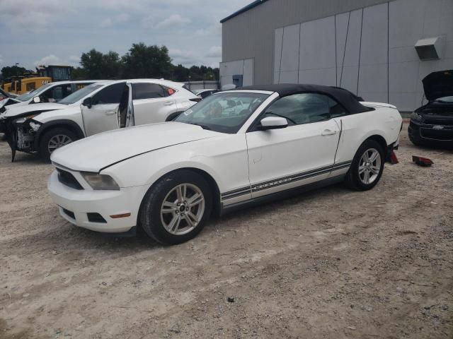 2010 Ford Mustang