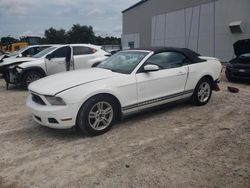 Ford salvage cars for sale: 2010 Ford Mustang