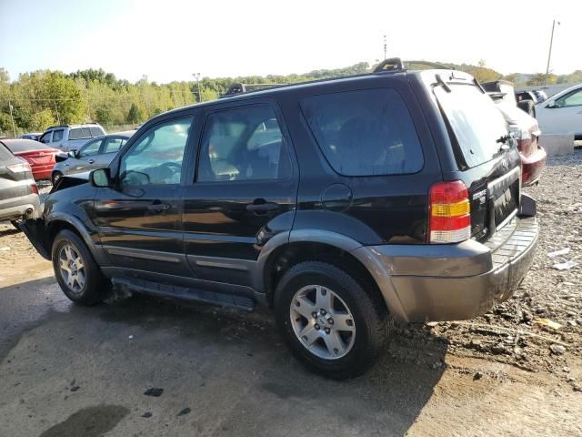 2005 Ford Escape XLT