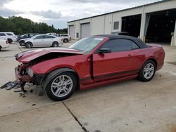 Salvage cars for sale at Gaston, SC auction: 2014 Ford Mustang