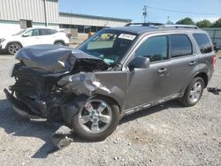 Salvage cars for sale at Leroy, NY auction: 2011 Ford Escape Limited