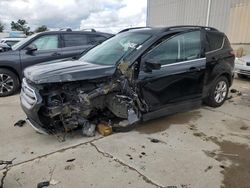 Salvage cars for sale at Lawrenceburg, KY auction: 2017 Ford Escape SE