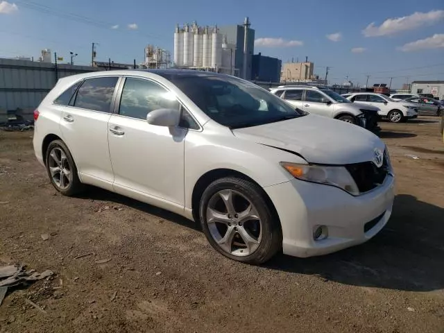 2010 Toyota Venza