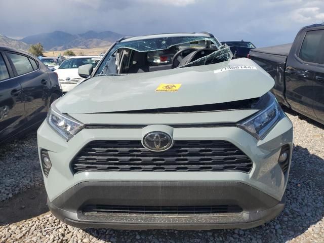 2019 Toyota Rav4 XLE