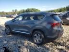 2023 Hyundai Santa FE SEL Premium