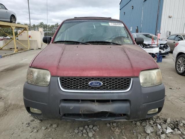 2003 Ford Escape XLT