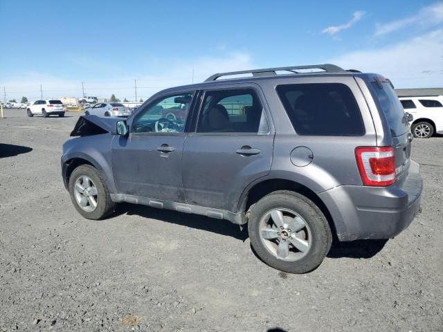 2010 Ford Escape XLT