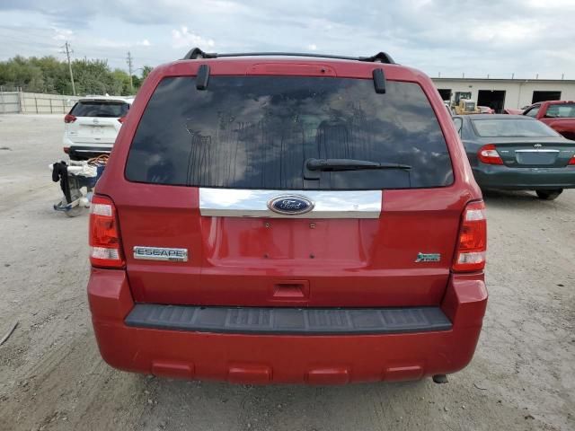 2010 Ford Escape Limited