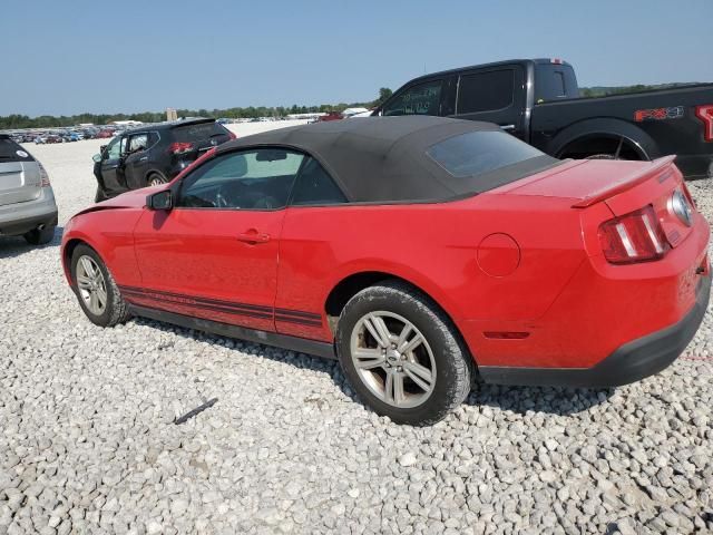 2010 Ford Mustang