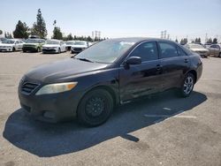 Salvage cars for sale at Rancho Cucamonga, CA auction: 2010 Toyota Camry Base