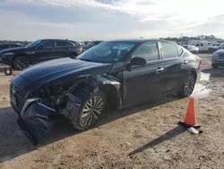 Nissan salvage cars for sale: 2023 Nissan Altima SV