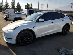 Salvage cars for sale from Copart Rancho Cucamonga, CA: 2023 Tesla Model Y