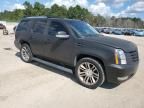 2007 Cadillac Escalade Luxury