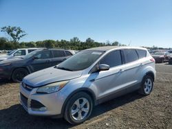 Ford Vehiculos salvage en venta: 2014 Ford Escape SE