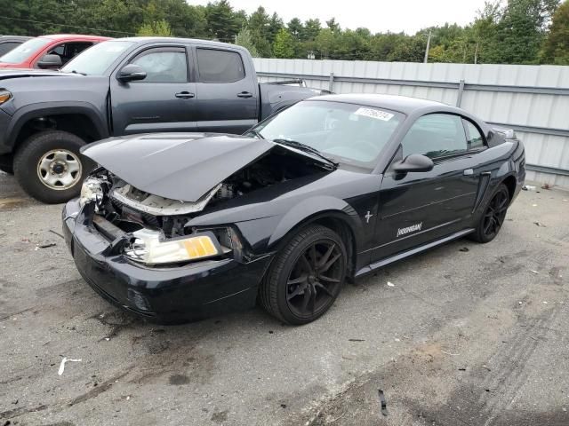 2000 Ford Mustang