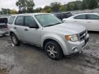 2009 Ford Escape XLS