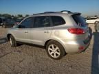 2007 Hyundai Santa FE SE