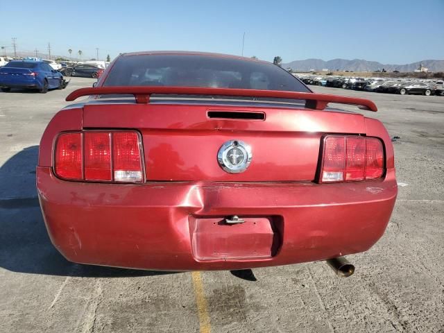 2005 Ford Mustang