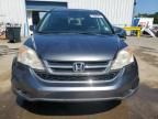 2010 Honda CR-V EXL