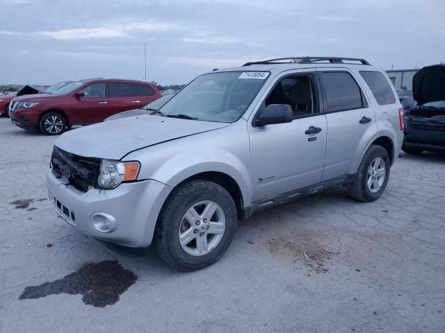 2010 Ford Escape Hybrid